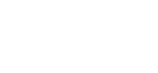 evisa logo